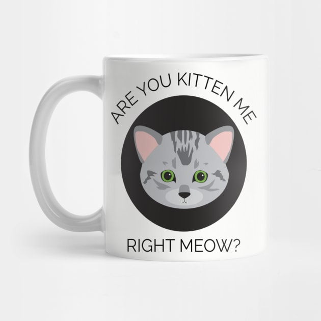 Are You Kitten Me by Zap Studios